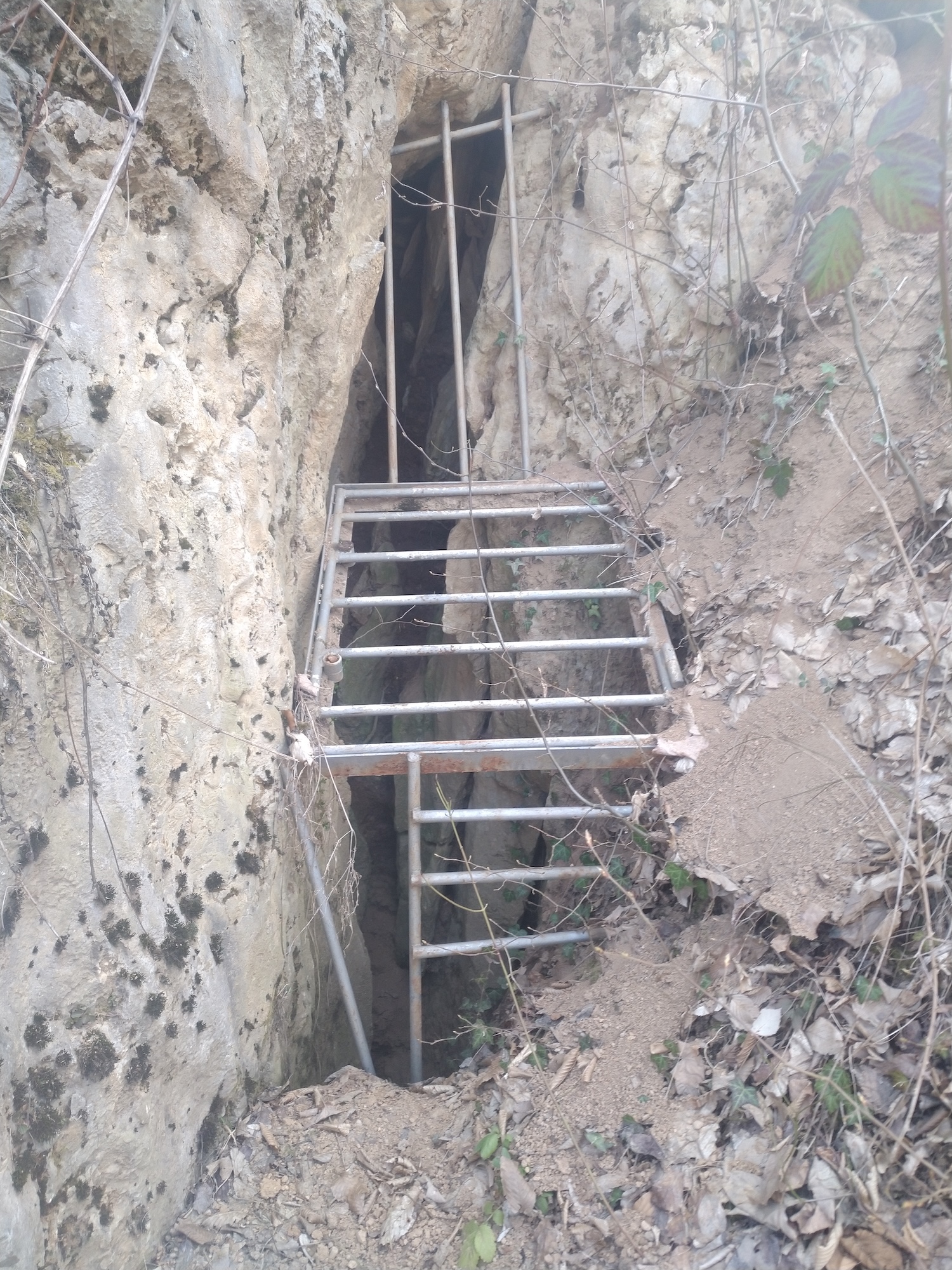 Avenul din Curba - Image 1